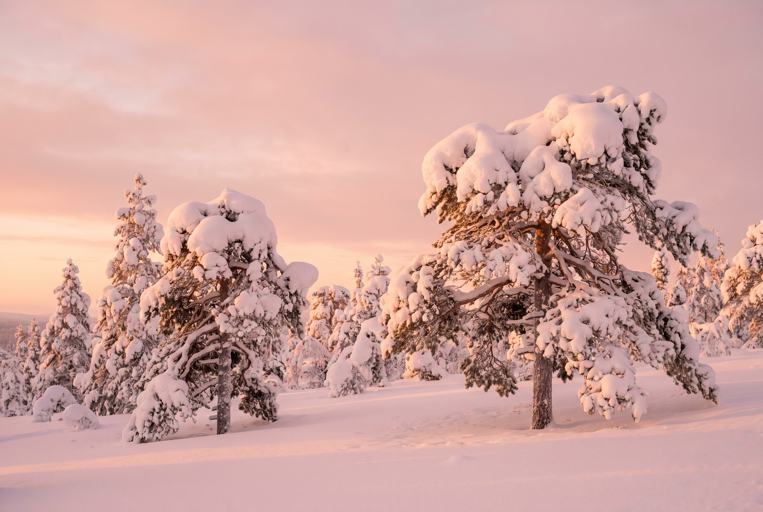 Snow with its own name.