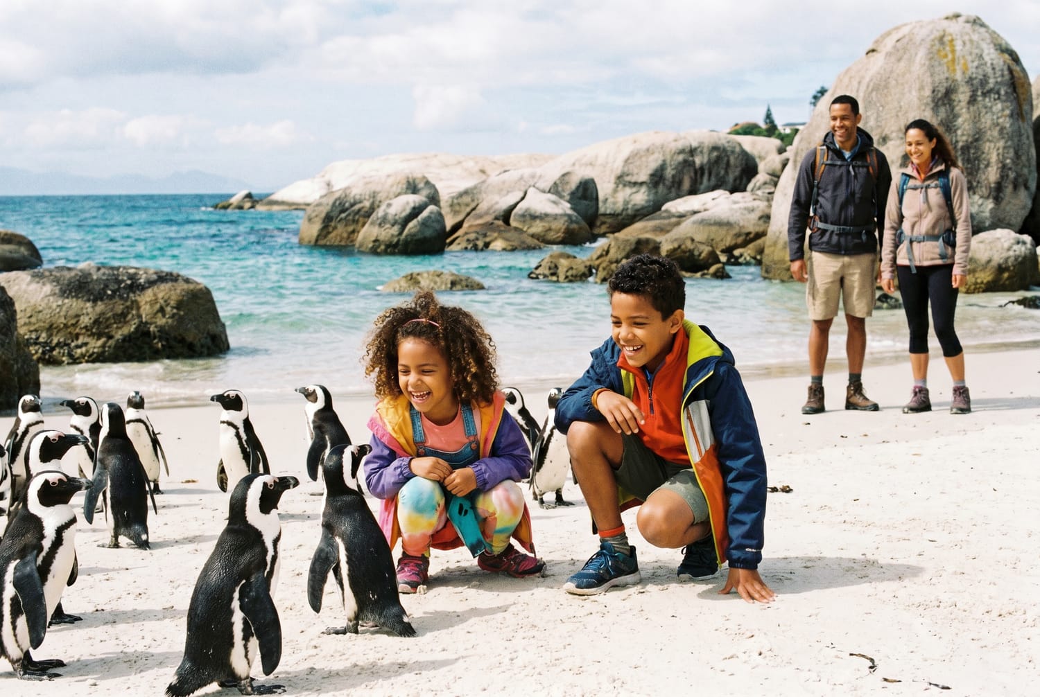 Penguins at Boulders.
