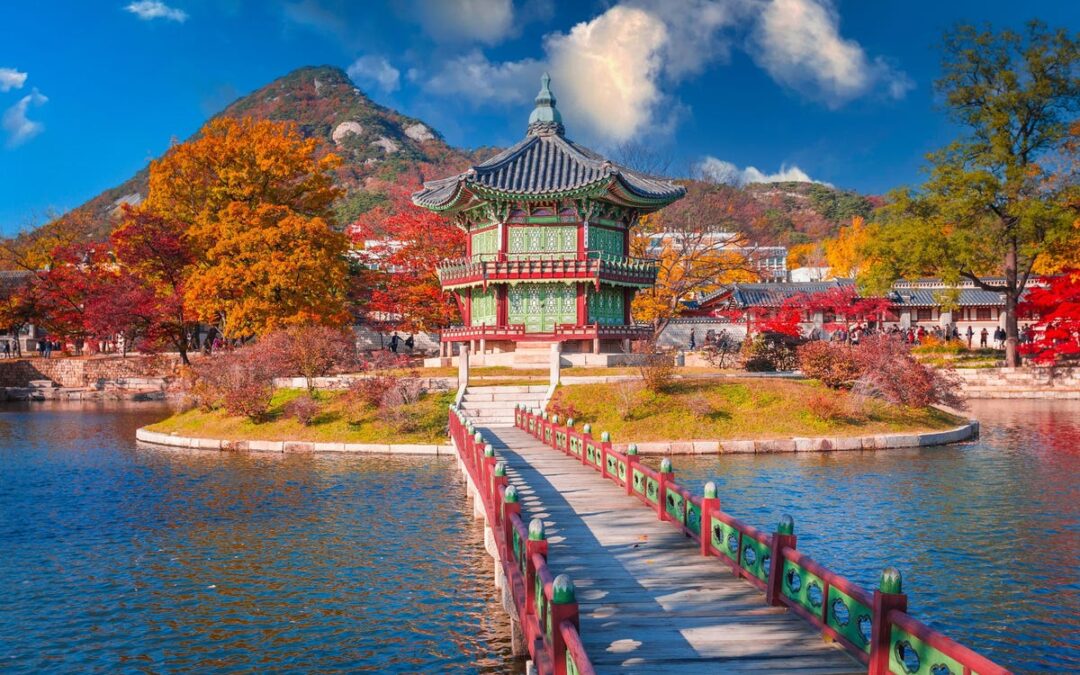 Exploring South Korea