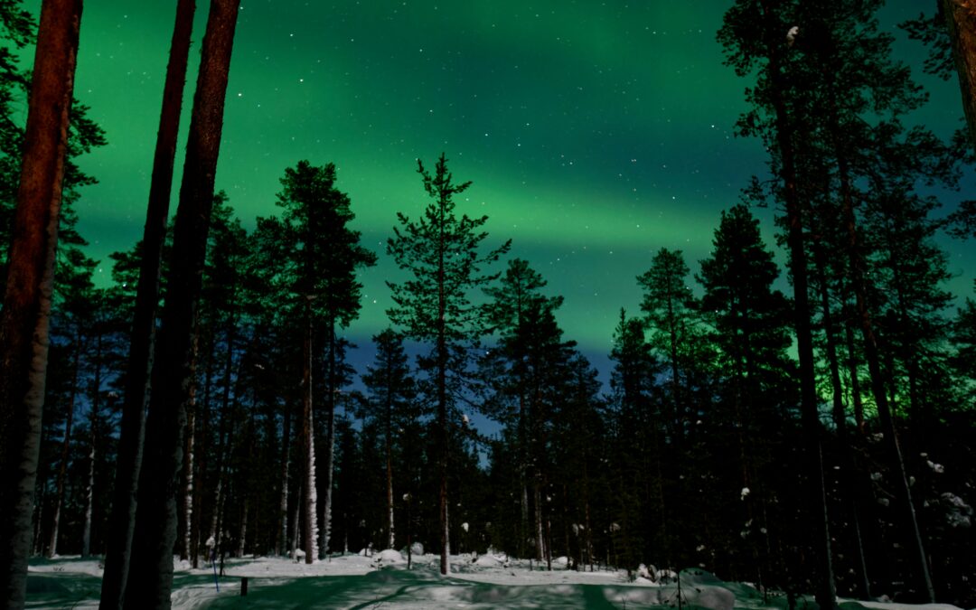 Winter Escape to Finland