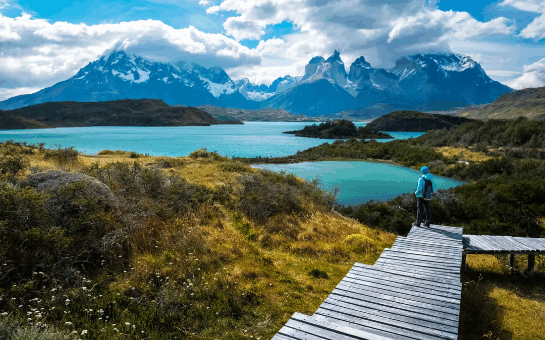 A Curated Chilean Escape